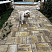 Тротуарная плитка Propress Ландхаус "Степь" 40мм 