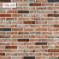 Декоративный кирпич WhiteHills "Дерри Брик" 386-50